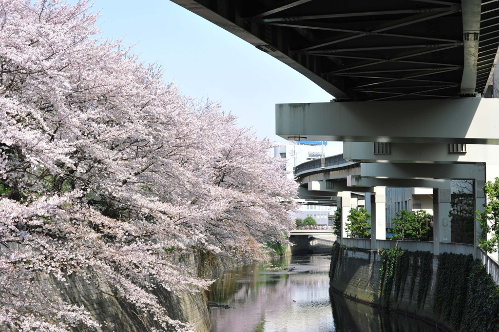 江戸川橋公園