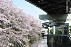江戸川橋公園