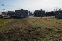 ミステリーじゃないサークル