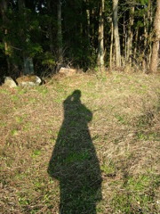 DSCF1587