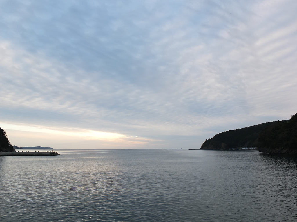 蛤浜