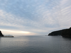 蛤浜