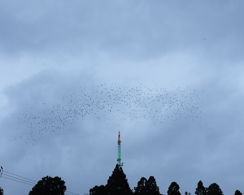 茂ヶ崎上空