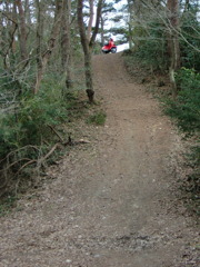 奥松島宮戸島大高森　DSCF1540