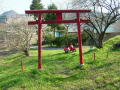 中ノ森　DSCF1578