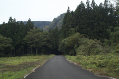 （秋保定重の）城跡近くにて１