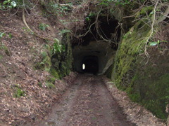 奥松島宮戸島大鮫　DSCF1547