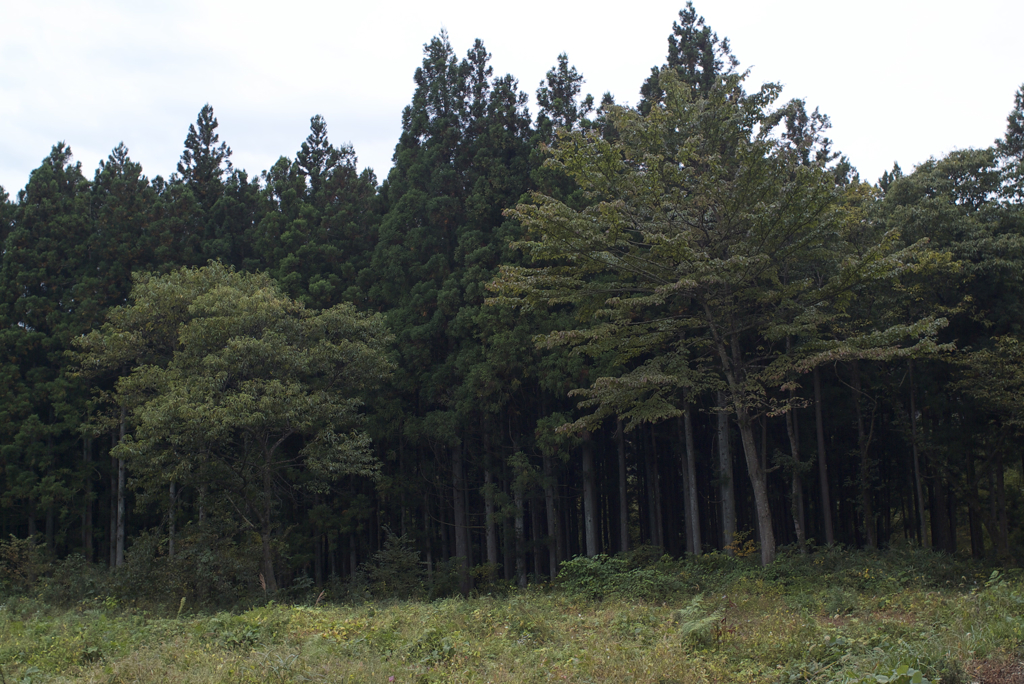 （秋保定重の）城跡近くにて２