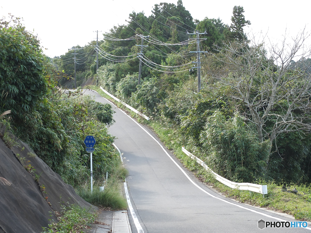 尾根の道