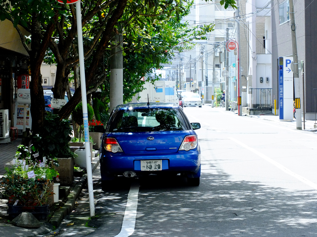 木陰の青いスバル