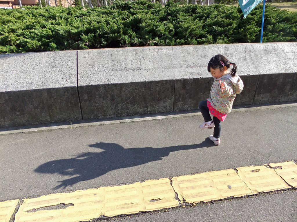 影遊び　DSCF8525