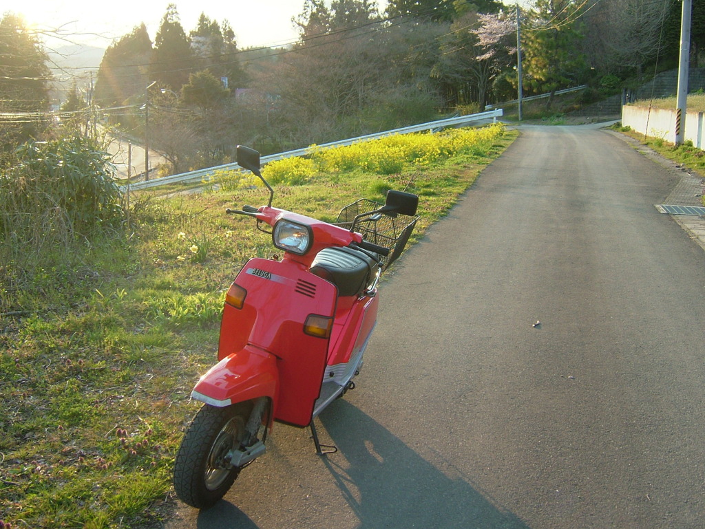 北赤石集落のはずれ　DSCF1622