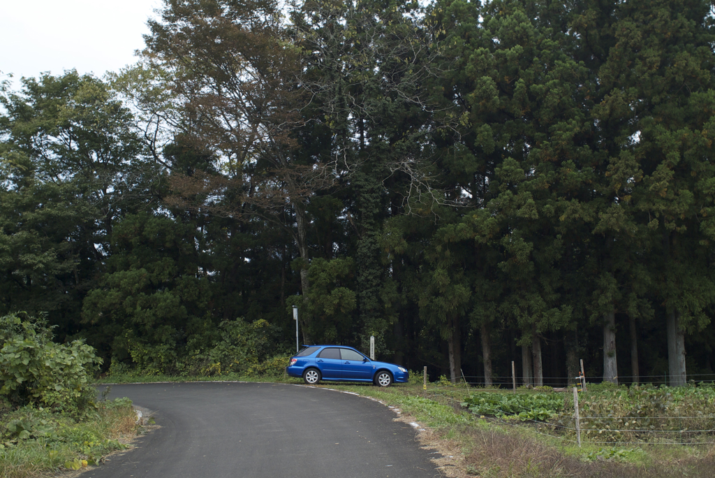 （秋保定重の）城跡近くにて３