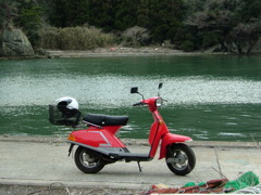 奥松島宮戸島大鮫　DSCF1545