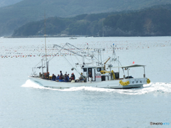 金華山へ１