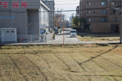11月の午後の田んぼ