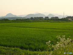 夏の七ツ森