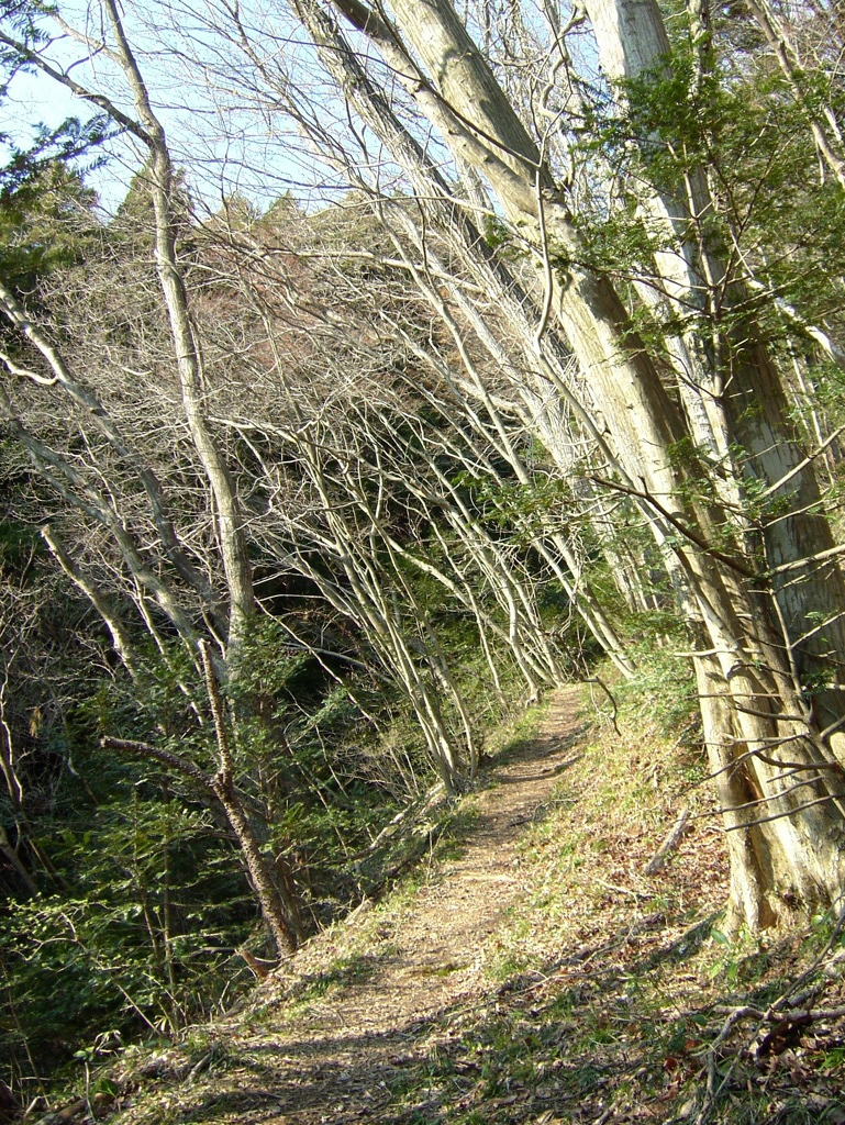 DSCF1583