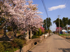 ごきんじょ