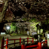 東照宮