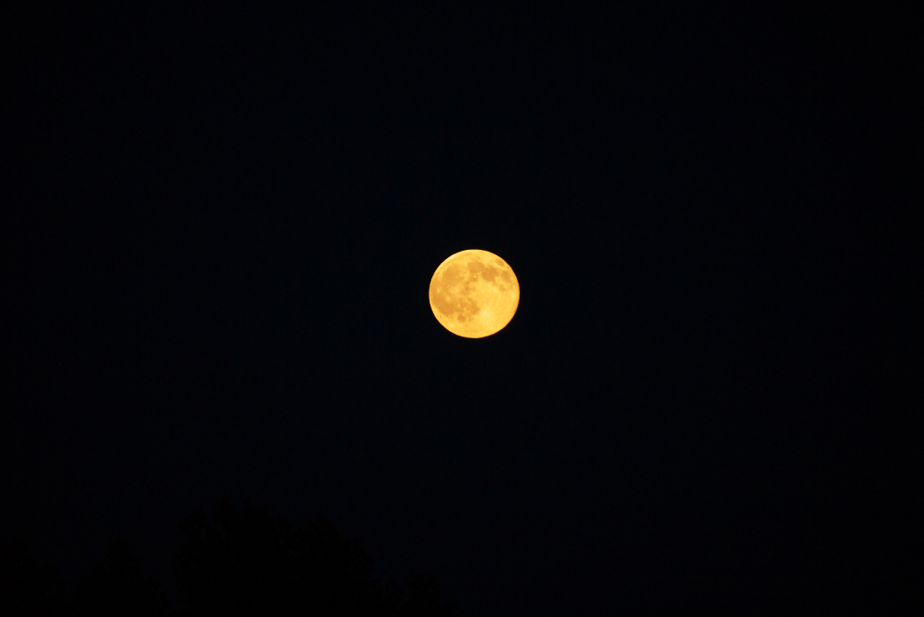 月