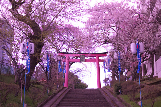 榴ヶ岡天満宮