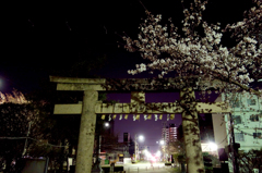 東照宮