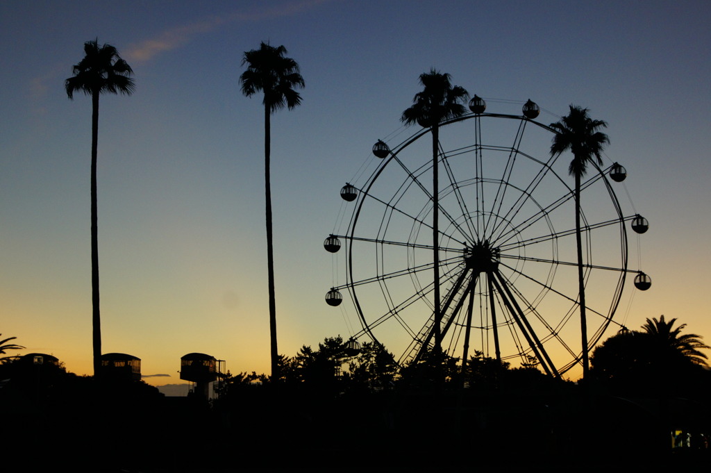 silhouette&gradation