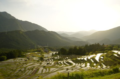棚田、夕景前