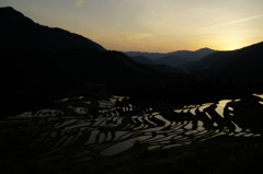 棚田、夕景