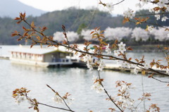 屋形船