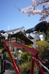 桜と青空と自転車と