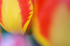 PICT0018