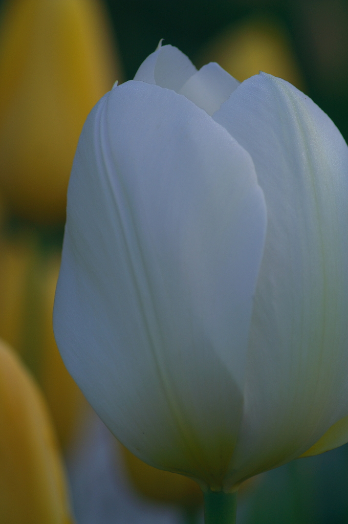 PICT0001