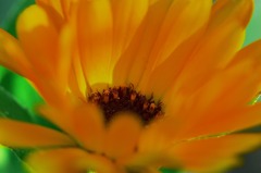 DSC00169