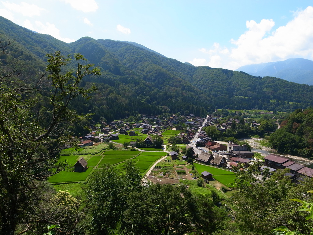 夏顔の白川郷