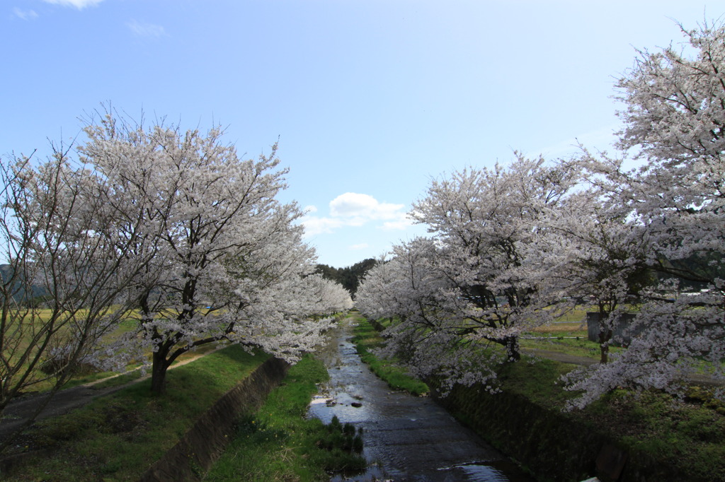 湯の原温泉オートキャンプ場 