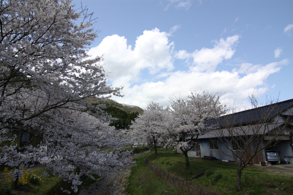 湯の原温泉オートキャンプ場
