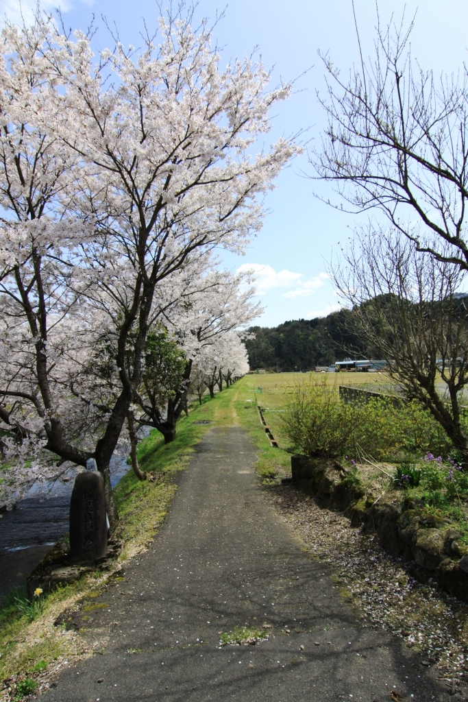湯の原温泉オートキャンプ場