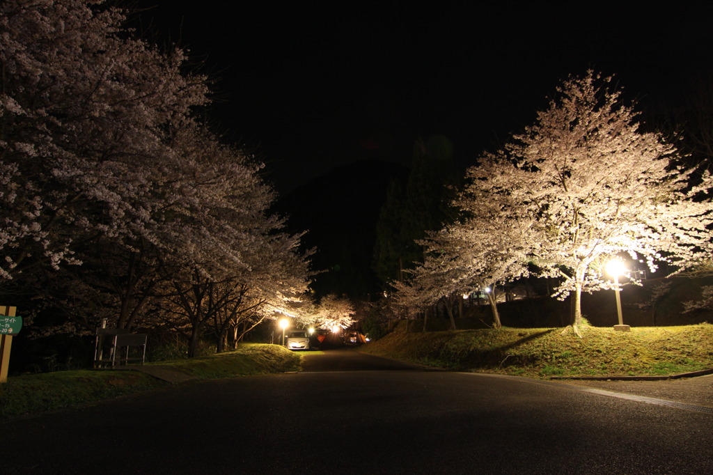 湯の原温泉オートキャンプ場 