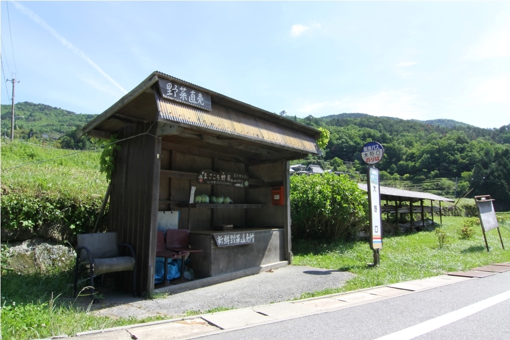 大野山アルプス