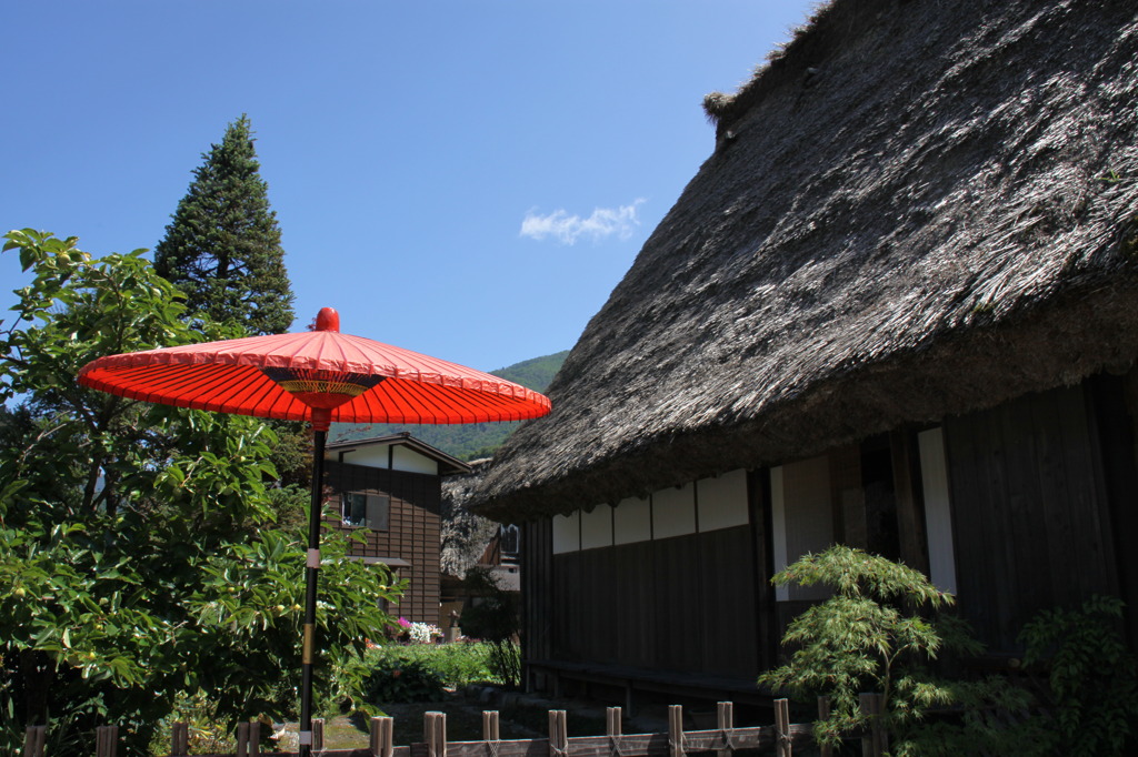 夏顔の白川郷
