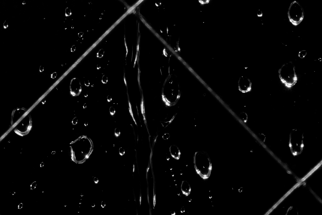 DSC_0655