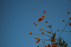 EPSN0377
