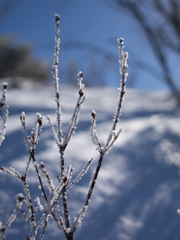 雪山