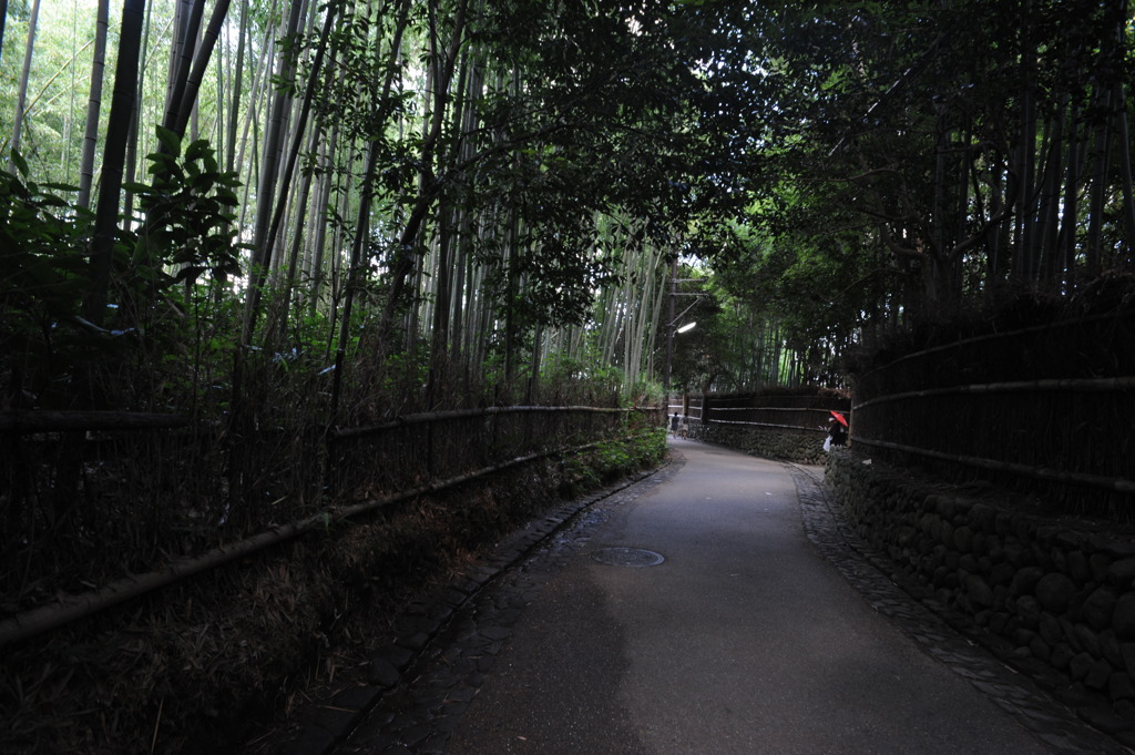 竹林