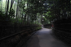 竹林