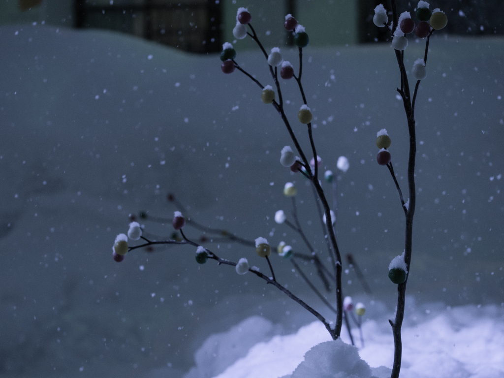 雪
