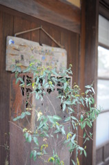 町並み