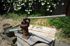井戸